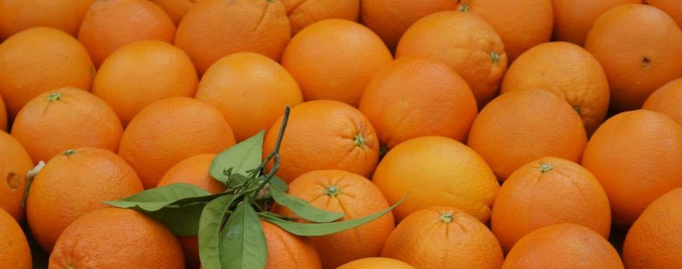 Las empresas asociadas a Palmanaranja donan 20.000Kg de naranjas al hospital de Ifema