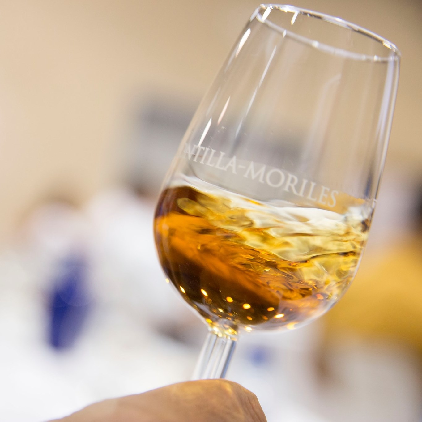10 Vinos para saborear la Cata del Vino de Córdoba en casa