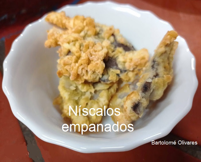 Gastronomía de las setas en Córdoba y Provincia.  Recetas.