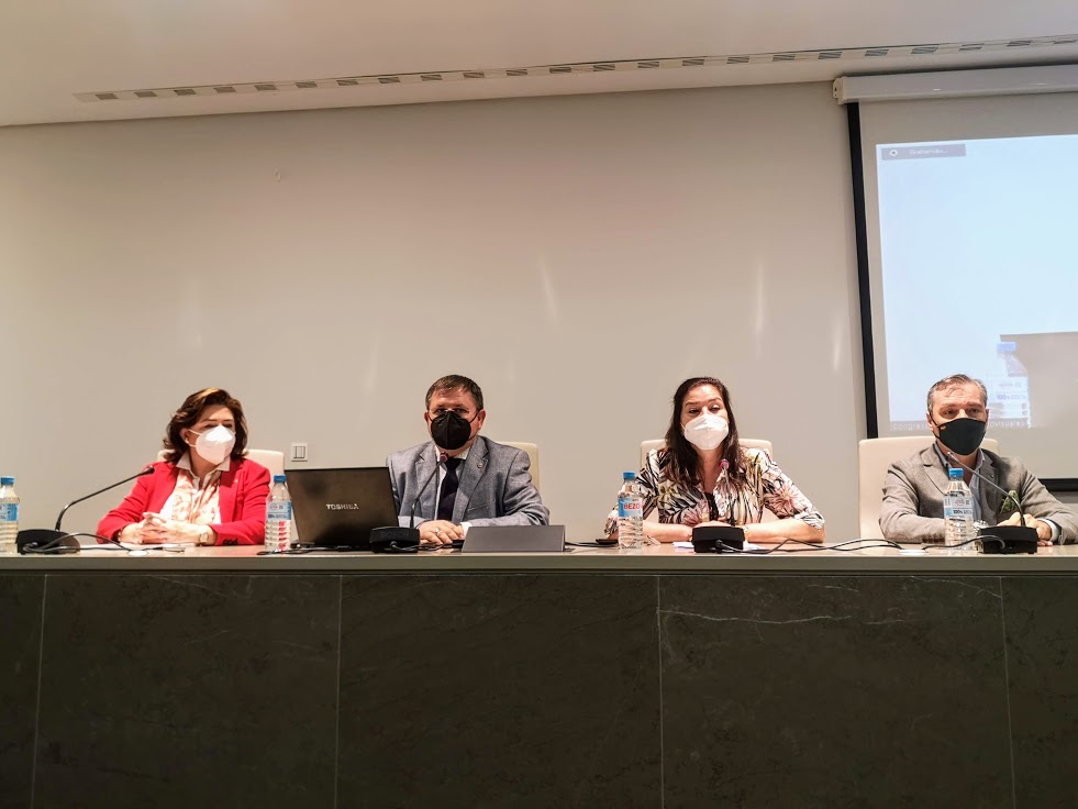 Estudio sobre el Flamenquín