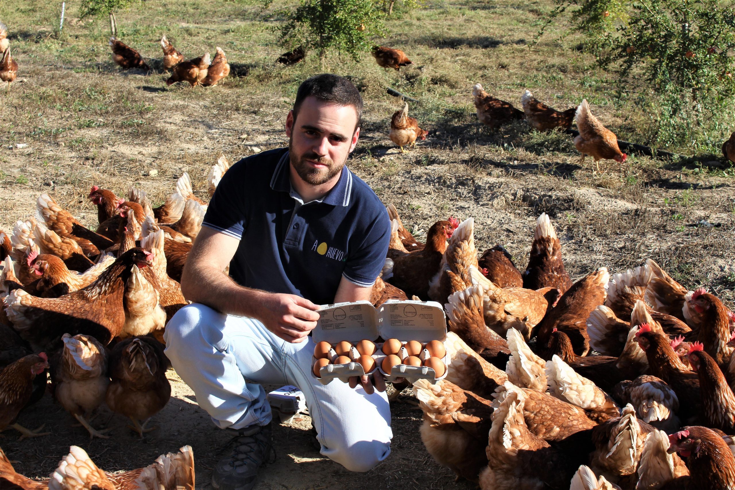 Granja Ahuevo, huevos y granadas en Castro del río