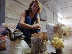Setacor, una visión agroecológica en cultivo de setas
