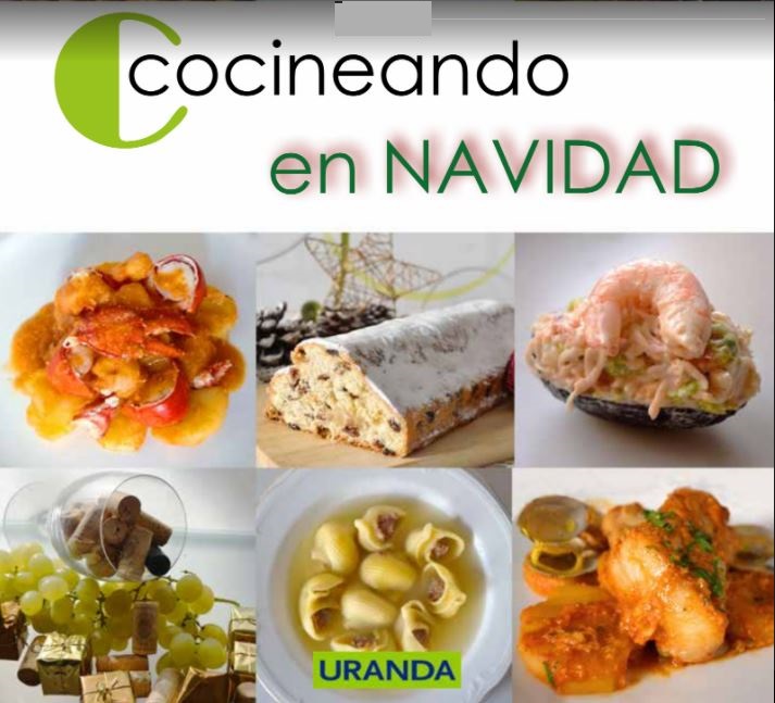Cocineando en Navidad. Libro en Pdf