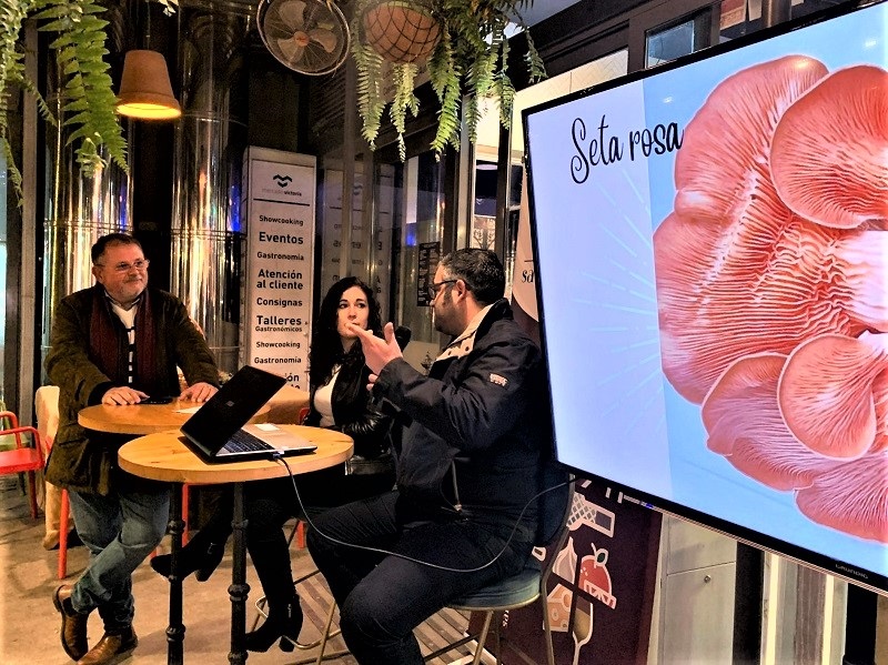 Temycor, setas gourmet en Córdoba