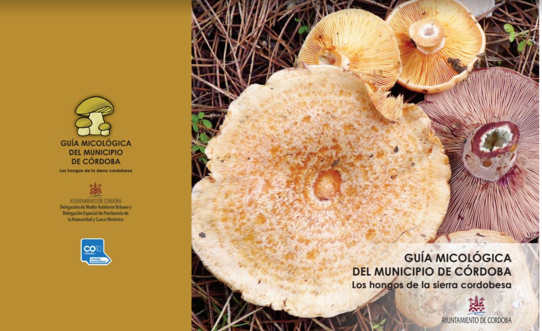 Guia Micologica Del Municipio De Córdoba