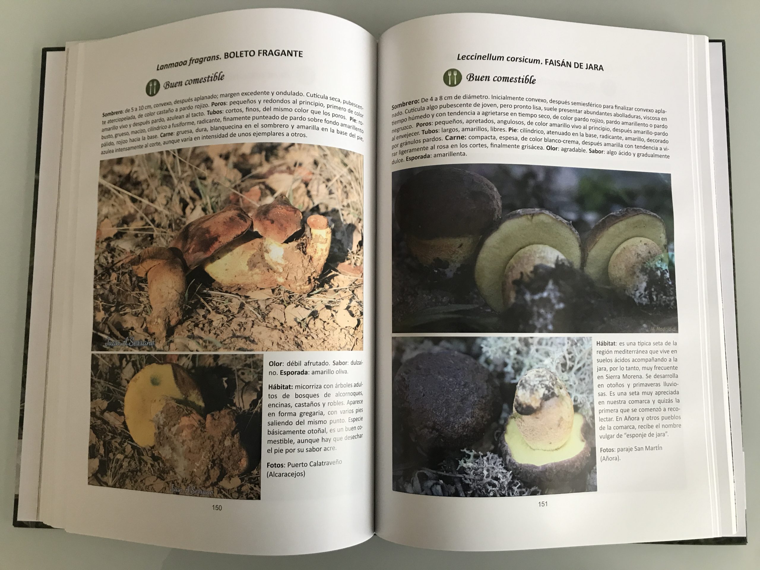 GUIA DE SETAS DE LA COMARCA DE LOS PEDROCHES